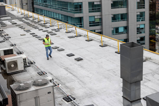 Best Skylight Installation and Repair  in Deshler, OH