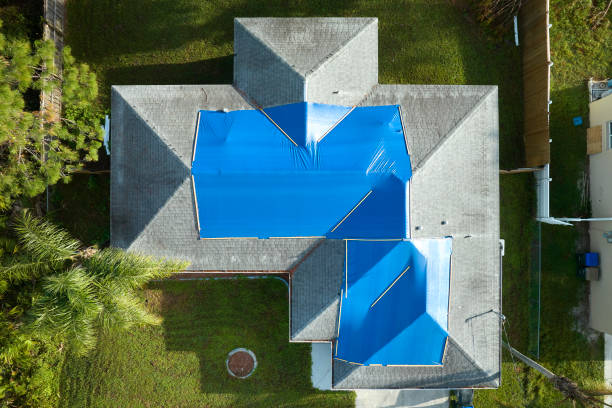 Best Roof Moss and Algae Removal  in Deshler, OH